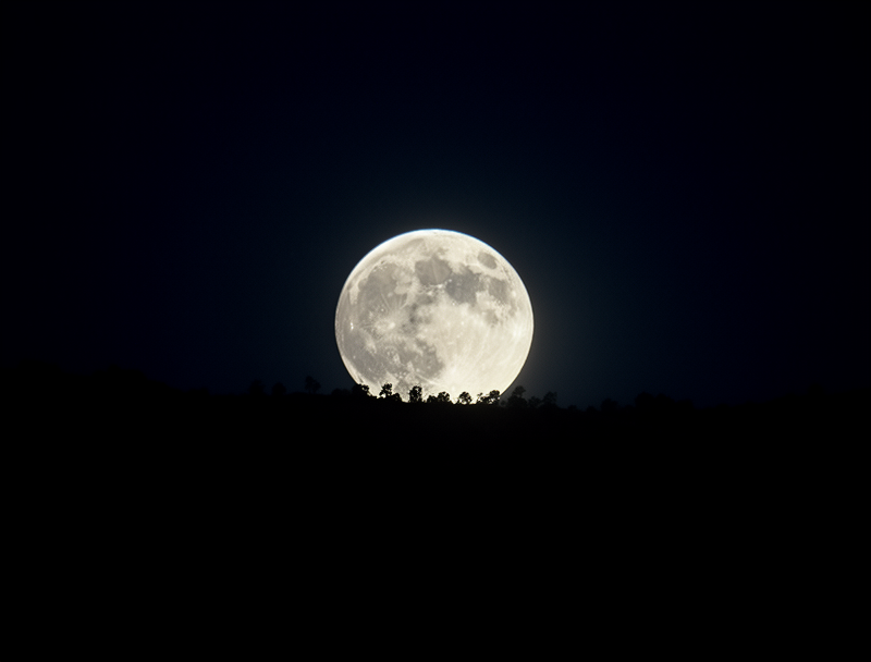 Catch a Glimpse of a Celestial Spectacle